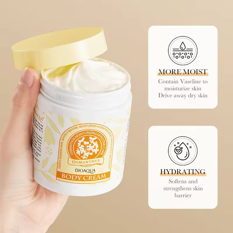 Body Cream